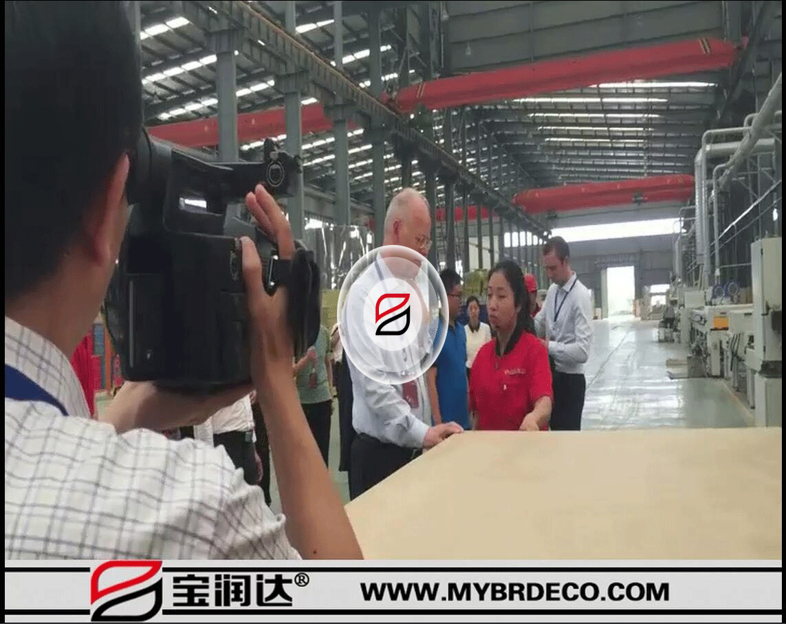 德國(guó)前國(guó)防部長(zhǎng)魯?shù)婪?沙爾平及市長(zhǎng)一行參觀考察寶潤(rùn)達(dá)